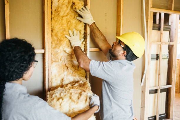 Best Crawl Space Insulation  in , IA