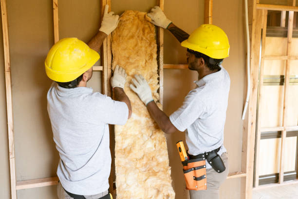 Best Professional Insulation Contractor  in , IA
