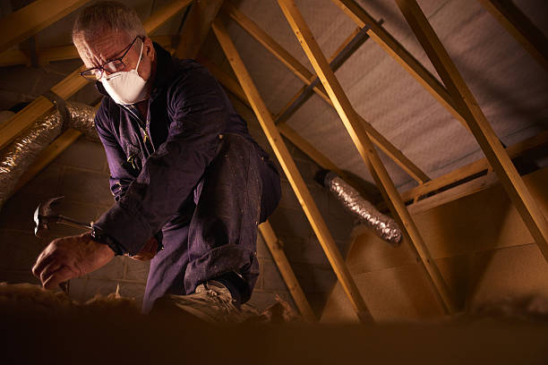 Best Wall Insulation Contractor  in , IA